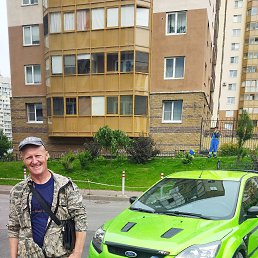 ���� �������, �����-���������, 41 ��� - ��������� 2 ������� 2022