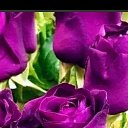 ���� �������, ���������, 49 ��� - ��������� 18 ������ 2023