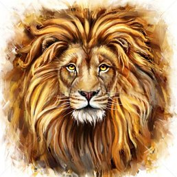 �����, ����, 33 ����