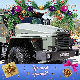 ���� ������, ����, 53 ���� - ��������� 3 ������ 2023