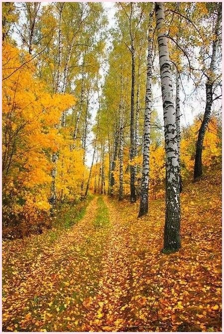 Handmade Club |  .y - 4