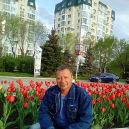 ���� ������, �������, 62 ���� - ��������� 13 ������� 2022