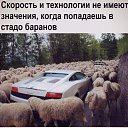 ���� Vadson, ������, 61 ��� - ��������� 22 ���� 2022 � ������ ������������