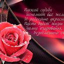 ���� ����, ������-��-����, 62 ���� - ��������� 29 ������� 2022 � ������ ������ ��������