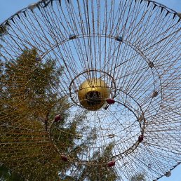 ���� ��������, ������, 63 ���� - ��������� 21 �������� 2022