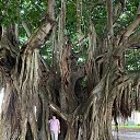 ���� ����, ����, 68 ��� - ��������� 31 ������� 2022 � ������ ���� ����������