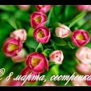 ���� �����, ������, 35 ��� - ��������� 22 ������� 2022 � ������ ���� ����������