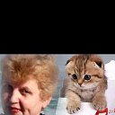 ���� �������, ������ - ��������� 6 ������ 2023