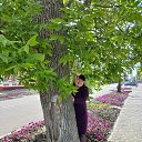 ���� �������, ������, 52 ���� - ��������� 1 ���� 2022 � ������ ���� ����������