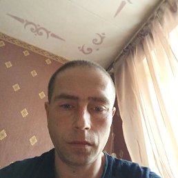 ���� �������, ������, 41 ��� - ��������� 5 ������� 2022