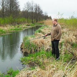 �����, �����, 44 ����