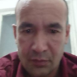 ���������, �����, 46 ���