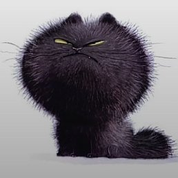 ���� �����, ������, 38 ��� - ��������� 25 ������ 2023