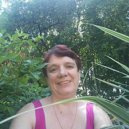 ���� �������, ��������, 66 ��� - ��������� 11 ��� 2022