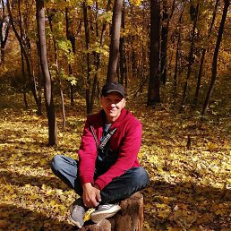 ������, ������, 51 ���