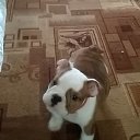 ���� ��������, �����������������, 64 ���� - ��������� 22 ���� 2022