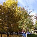 ���� �������, �������, 59 ��� - ��������� 9 ������� 2022