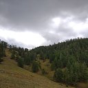 ���� �����, ������, 40 ��� - ��������� 26 ������� 2022 � ������ ������