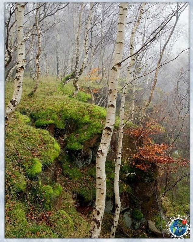 a  ppoa a  pepaca.a o co poope  cooc. pae ... - 3