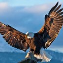 ���� Alex/, ��������� - ��������� 18 ������ 2023 � ������ ���� ����������