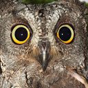 ���� ����, ������, 58 ��� - ��������� 1 ������ 2022 � ������ ���� ����������