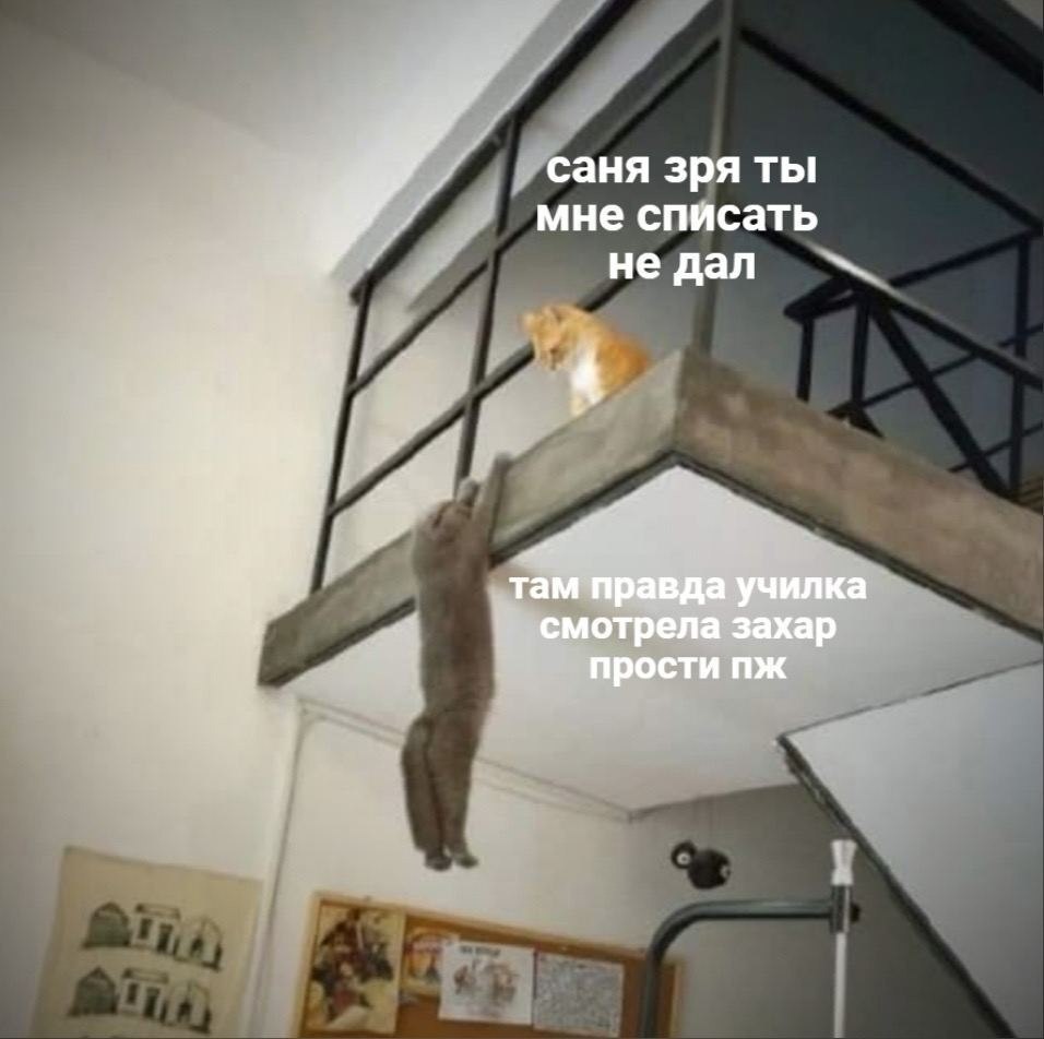    - 10  2022  04:19