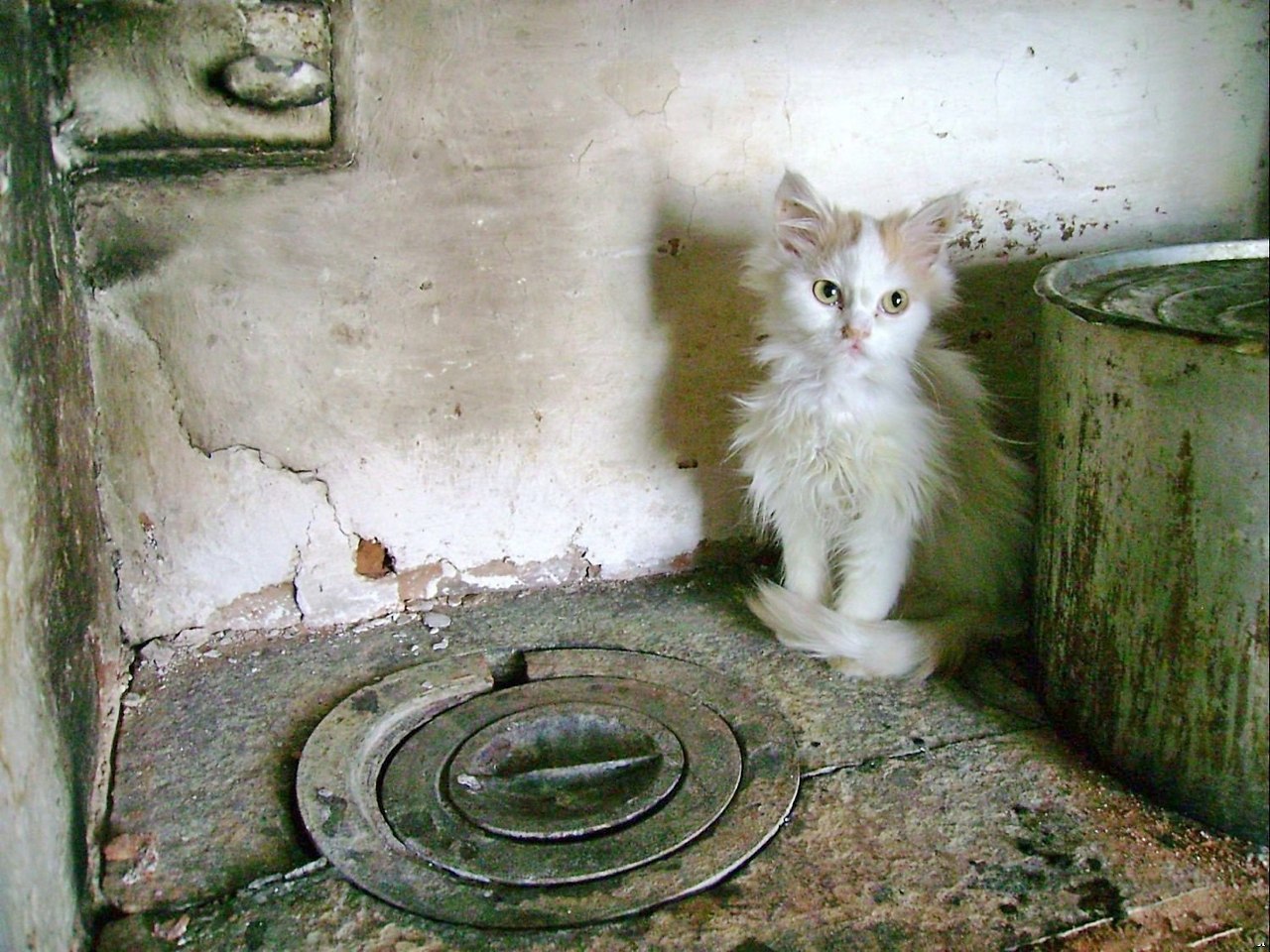 ...  ,-  ...    ... . . ...