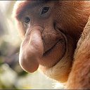 ���� �����, �������, 49 ��� - ��������� 13 ������� 2022 � ������ ���� ����������