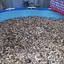 ���� ������, ������, 56 ��� - ��������� 21 ������ 2022