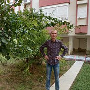 �����, 37 ���, ������