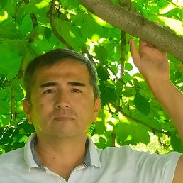 ���� �����, ������, 55 ��� - ��������� 4 ��� 2022