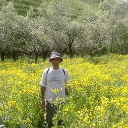 ��������, ������, 48 ���