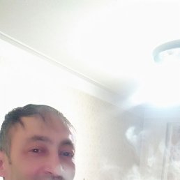 Fodil, �������, 56 ���