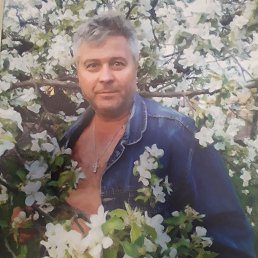 ���� ������, ������, 58 ��� - ��������� 22 ������� 2022