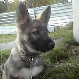 ���� ��������, ������, 52 ���� - ��������� 14 ������� 2023