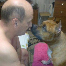 ����, �����, 63 ����