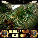 ���� �����, ������������, 40 ��� - ��������� 5 �������� 2022 � ������ ���� ����������