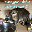 ���� ���������, �������, 63 ���� - ��������� 31 ������� 2022 � ������ ������ ��������