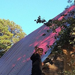 �������, �����, 56 ���