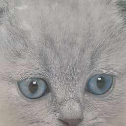 ���� �����, ��������� - ��������� 21 ������ 2022