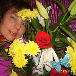 �����, ������, 51 ���