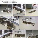 ���� Julia, �������� - ��������� 13 ������ 2022 � ������ ������ ��������