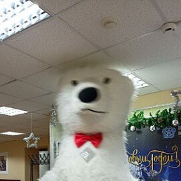 ���� �������, ���������, 44 ���� - ��������� 3 ������� 2023