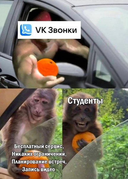    - 6  2022  13:38