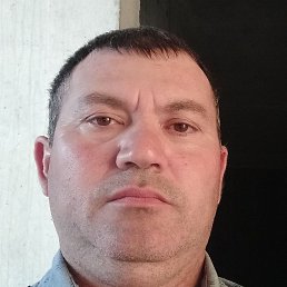 Vahid, , 51 