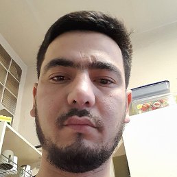 �����, �����-���������, 31 ���