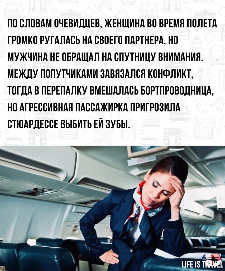 LIFE - новости - 10 мая 2022 в 07:58 - 3