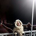 ���� �������, �������, 42 ���� - ��������� 4 ������� 2023 � ������ ���� ����������