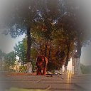 ���� �������, �����, 37 ��� - ��������� 6 �������� 2022 � ������ ���� ����������