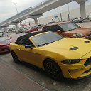���� ������, ������ ��������, 37 ��� - ��������� 16 ������� 2023 � ������ ���� ����������